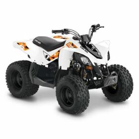 2021 Can-Am DS 90