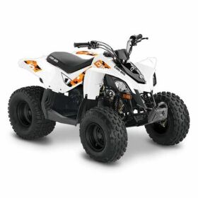 2022 Can-Am DS 90